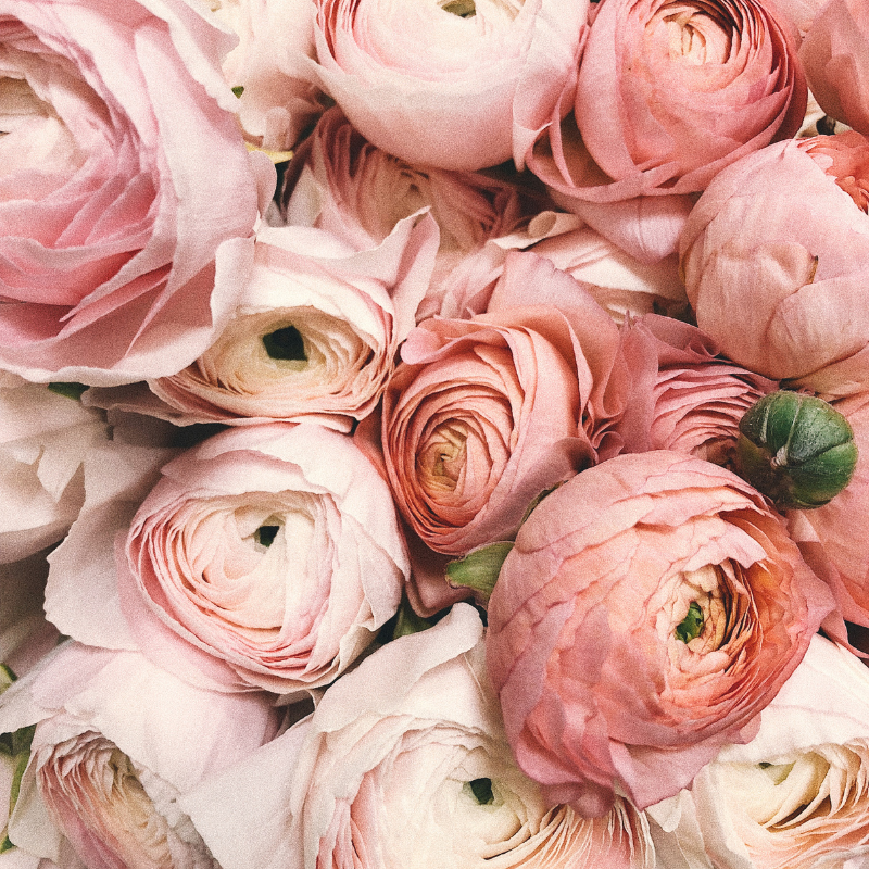 Blooming Inspiration: Best Websites for Flower Arrangements, Decorations, and Centerpieces