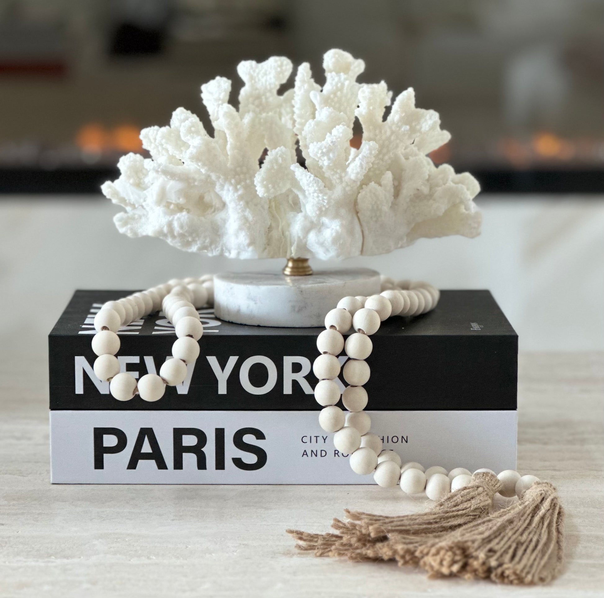 Curated Home Decor, Staging, Coffeetable books, Coral Sculpture